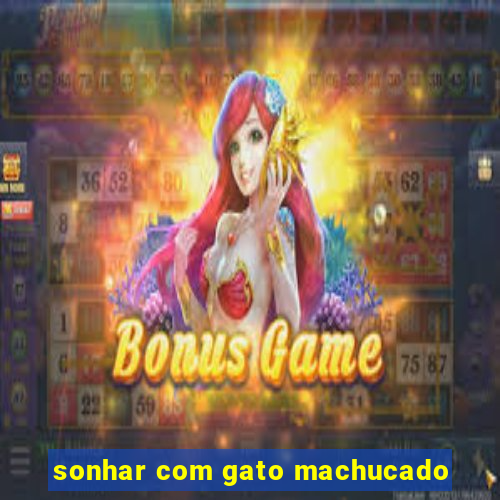 sonhar com gato machucado