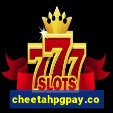 cheetahpgpay.com