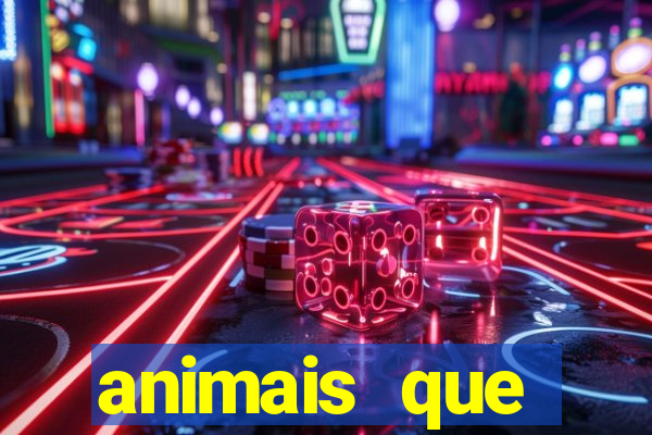 animais que produzem l茫