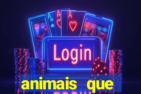 animais que produzem l茫