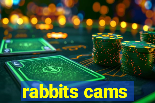 rabbits cams