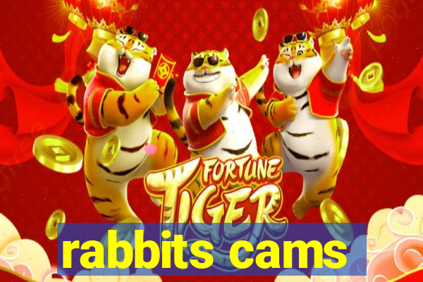 rabbits cams