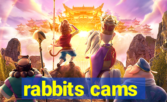 rabbits cams