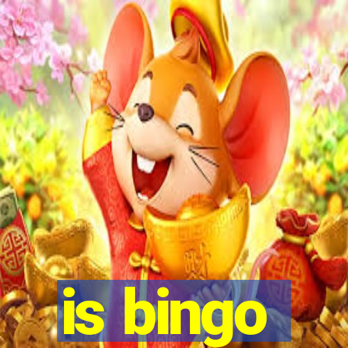 is bingo