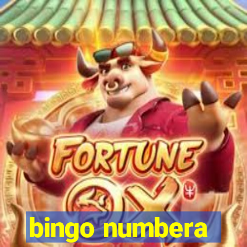 bingo numbera