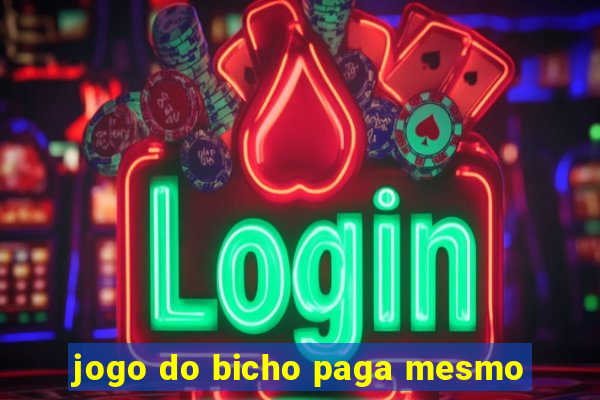 jogo do bicho paga mesmo