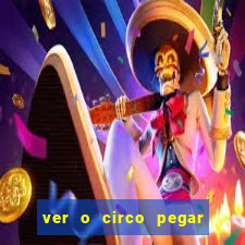 ver o circo pegar fogo significado