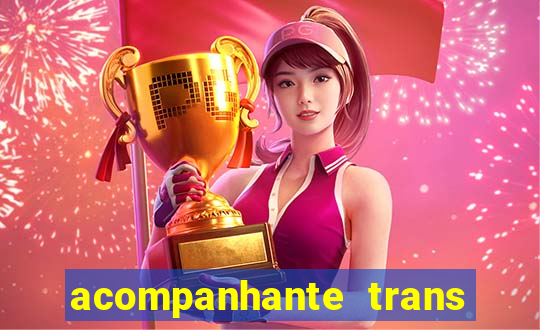 acompanhante trans baixada fluminense