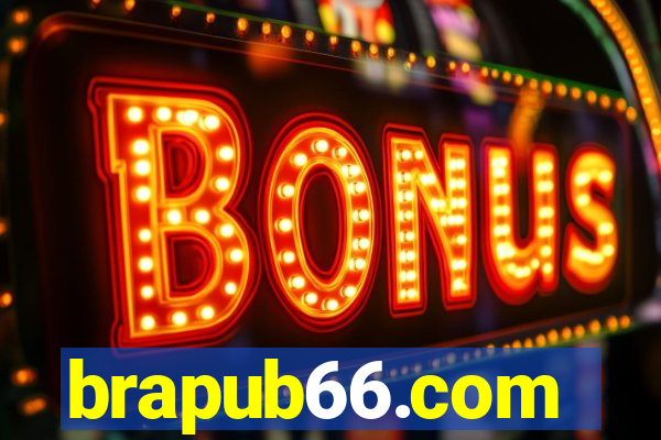 brapub66.com