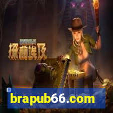 brapub66.com