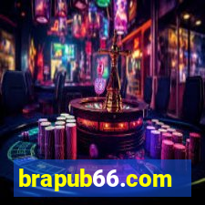 brapub66.com