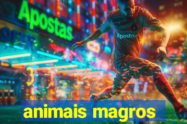 animais magros