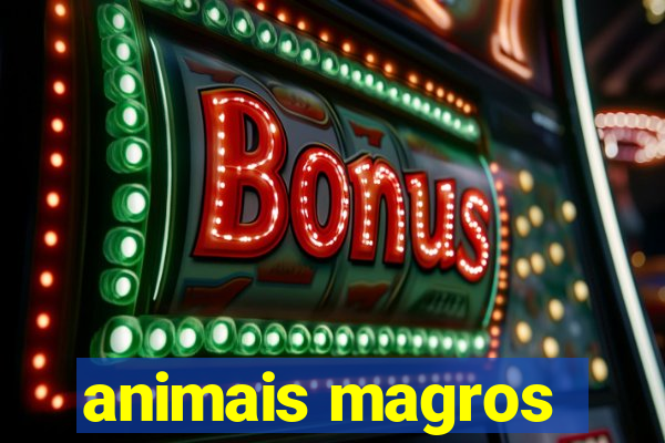 animais magros