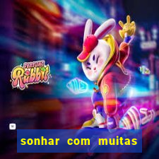 sonhar com muitas formigas juntas jogo do bicho