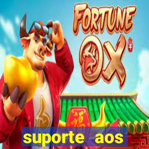 suporte aos clientes de jogos online