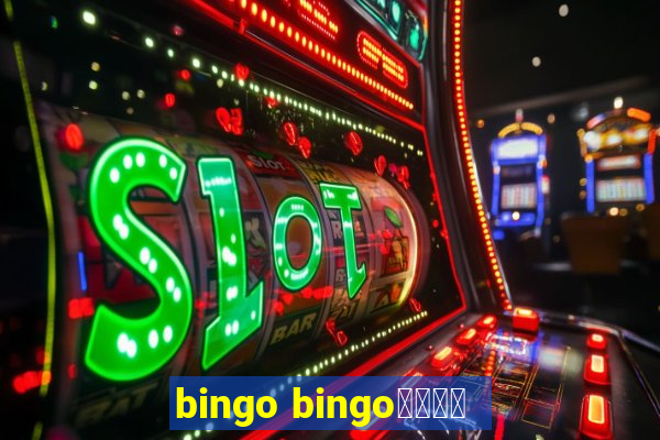 bingo bingo線上投注