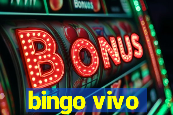 bingo vivo