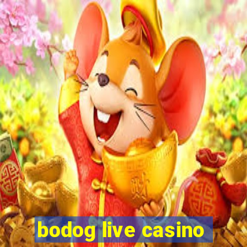 bodog live casino