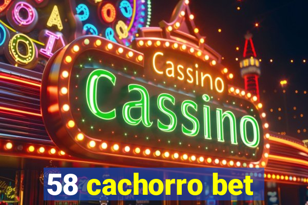 58 cachorro bet