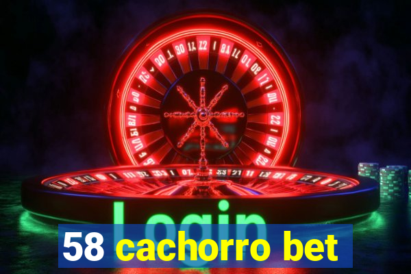 58 cachorro bet