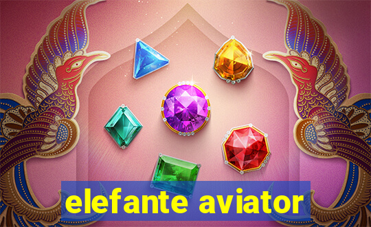 elefante aviator