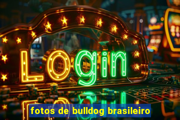 fotos de bulldog brasileiro