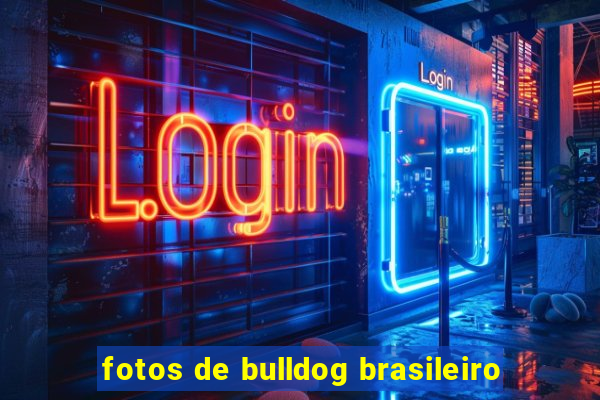 fotos de bulldog brasileiro