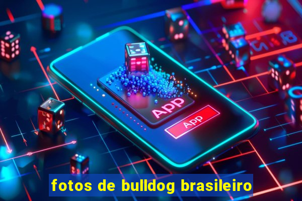 fotos de bulldog brasileiro