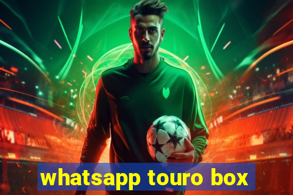 whatsapp touro box