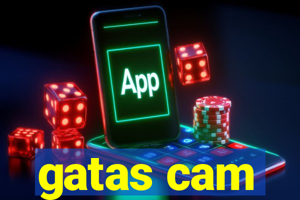 gatas cam