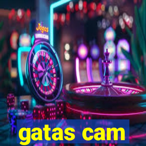 gatas cam