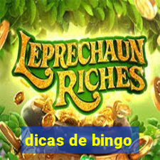 dicas de bingo