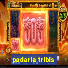 padaria tribis