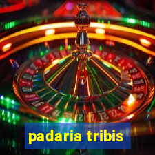 padaria tribis