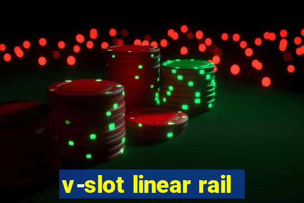 v-slot linear rail