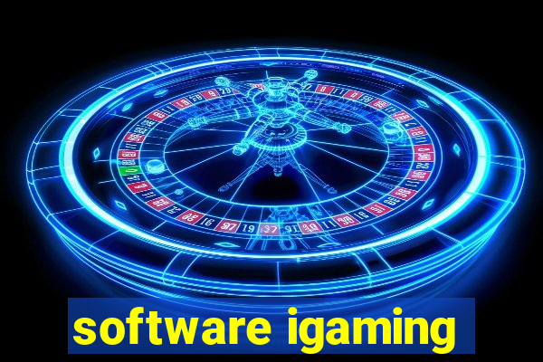 software igaming