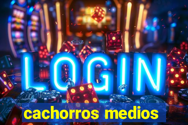 cachorros medios