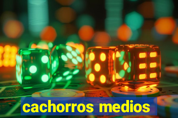 cachorros medios