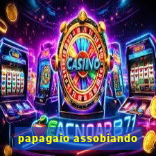 papagaio assobiando