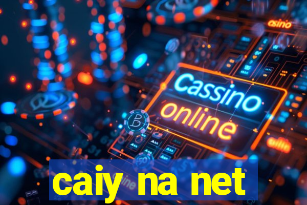 caiy na net