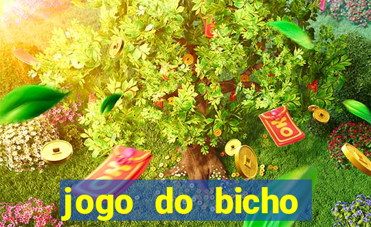 jogo do bicho tipos de apostas