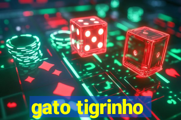 gato tigrinho