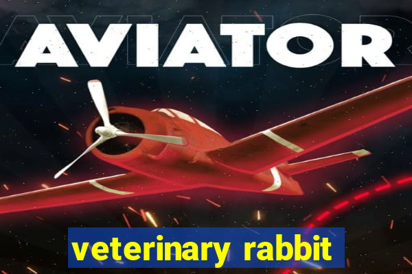 veterinary rabbit