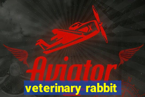 veterinary rabbit