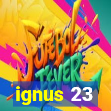 ignus 23