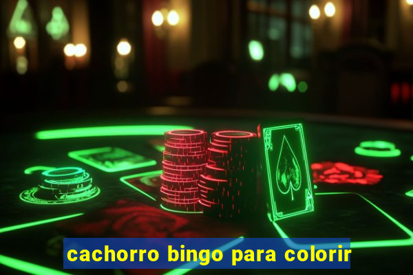 cachorro bingo para colorir