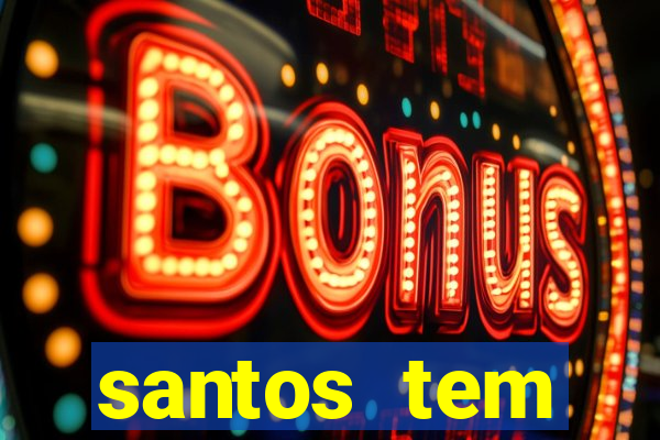 santos tem aeroporto comercial