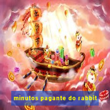 minutos pagante do rabbit