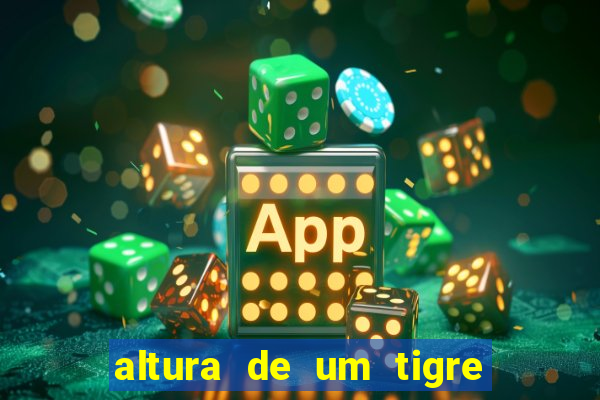 altura de um tigre em pé