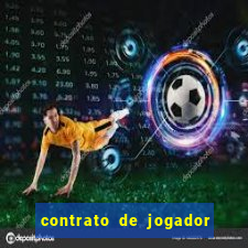 contrato de jogador de futebol word